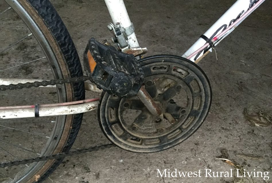 Dad, Are You Sad About The Bike? | Midwest Rural Living